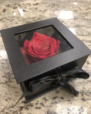 Rose stabilisées dans son coffret cadeau noir