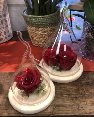 Roses stabilisées dans goutte d’eau en verre